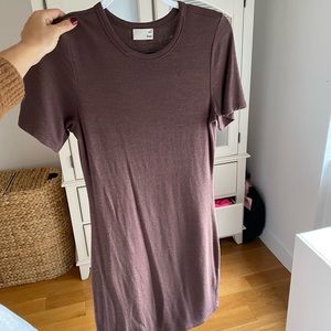 Aritzia T shirt Dress